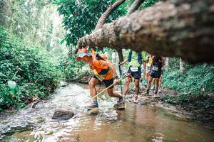 BIB: 
                            <button type="button" onclick="openModal(25372539)" class="btn btn-primary btn-sm float-right btn-popup" data-toggle="modal" data-target=".modal-high-quality">
                        <i class="fas fa-shopping-cart"></i> Add to Cart
                    </button>
                                            <button type="button" onclick="isThisMe(25372539, true)" class="btn btn-success btn-sm float-right btn-popup btn-isme hidden" data-toggle="tooltip" data-placement="bottom" title="นี่คือรูปของคุณใช่ไหม คลิกที่นี่เพื่อเอาเข้าอัลบั้ม">
                        <i class="fas fa-plus"></i> Add to album
                    </button>
                    <button type="button" onclick="isThisMe(25372539, false)" class="btn btn-warning btn-sm float-right btn-popup btn-isnotme hidden">
                        <i class="fas fa-ban"></i> Remove from album
                    </button>